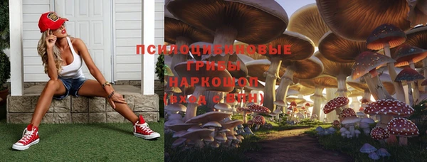 спиды Ладушкин