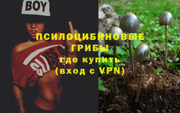 a pvp Бикин