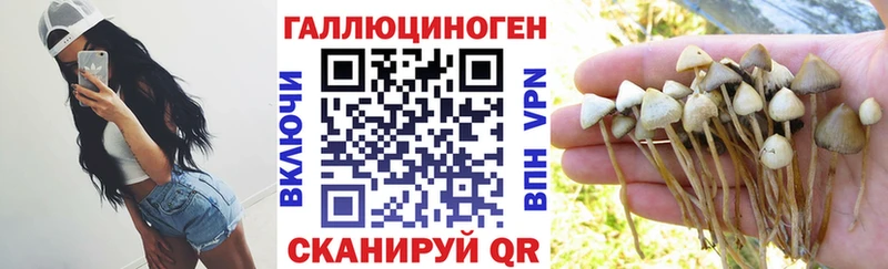 Галлюциногенные грибы мухоморы  Кудымкар 