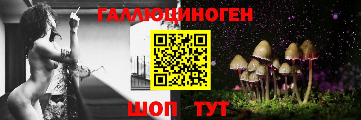 Кудымкар  Псилоцибиновые грибы Magic Shrooms  Вход с VPN  Псилоцибиновые грибы мухоморы 